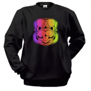 Свитшот Rainbow Dog