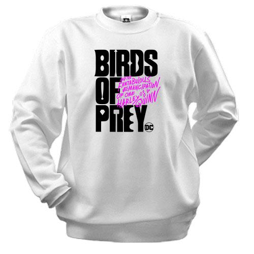 Світшот Birds of Prey DC