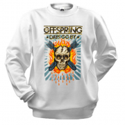 Свитшот The Offspring - Days Go By (2)