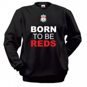 Свитшот Born To Be Reds (2)