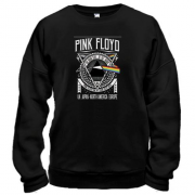 Світшот Pink Floyd