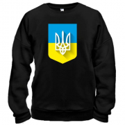 Свитшот с Тризубом на фоне украиского флага