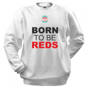 Свитшот Born To Be Reds